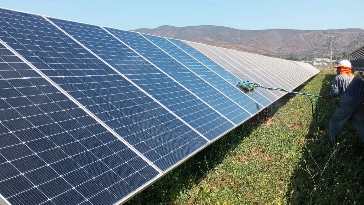 Hilera de paneles fotovoltaicos con la vegetación del entorno controlada.