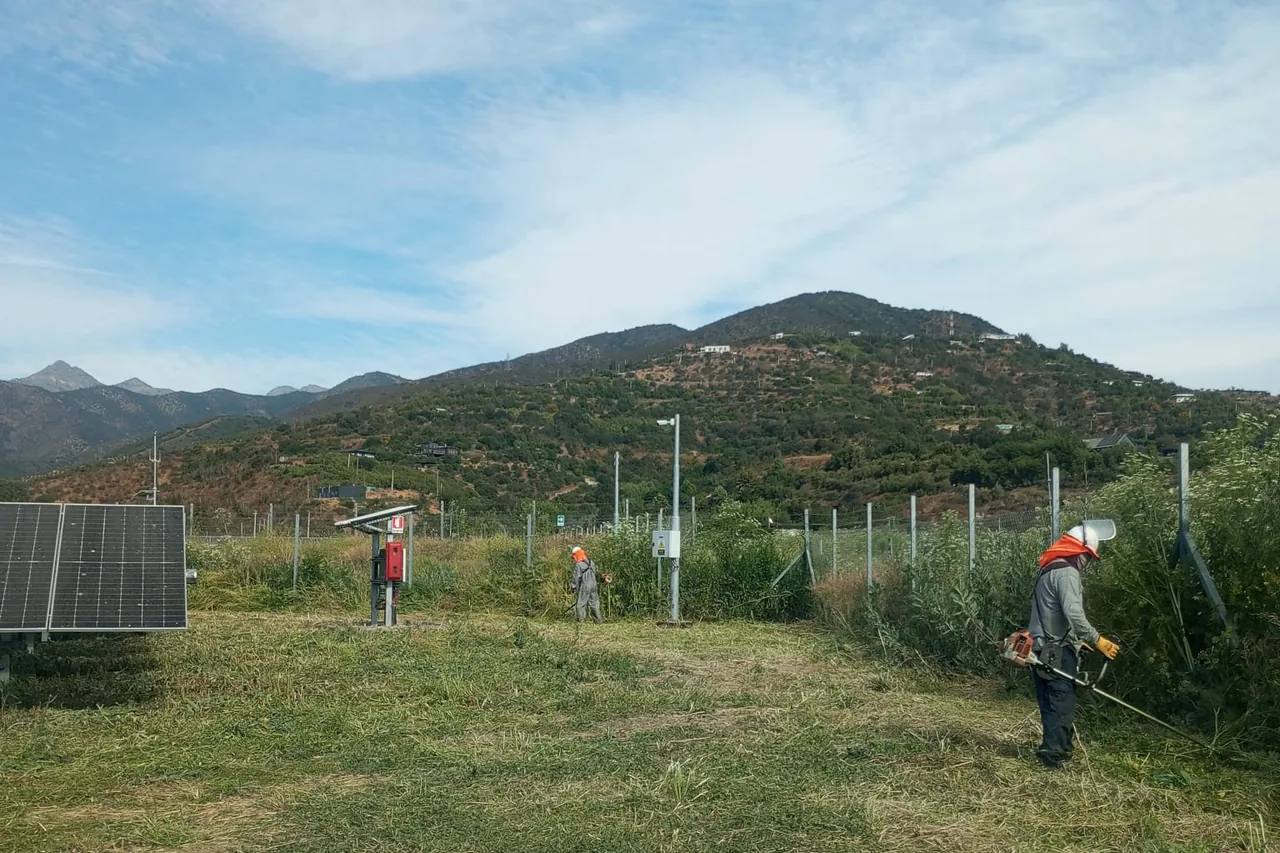 Cuadrilla de RAMAR Solar trabajando en el despeje de un paño de la planta.