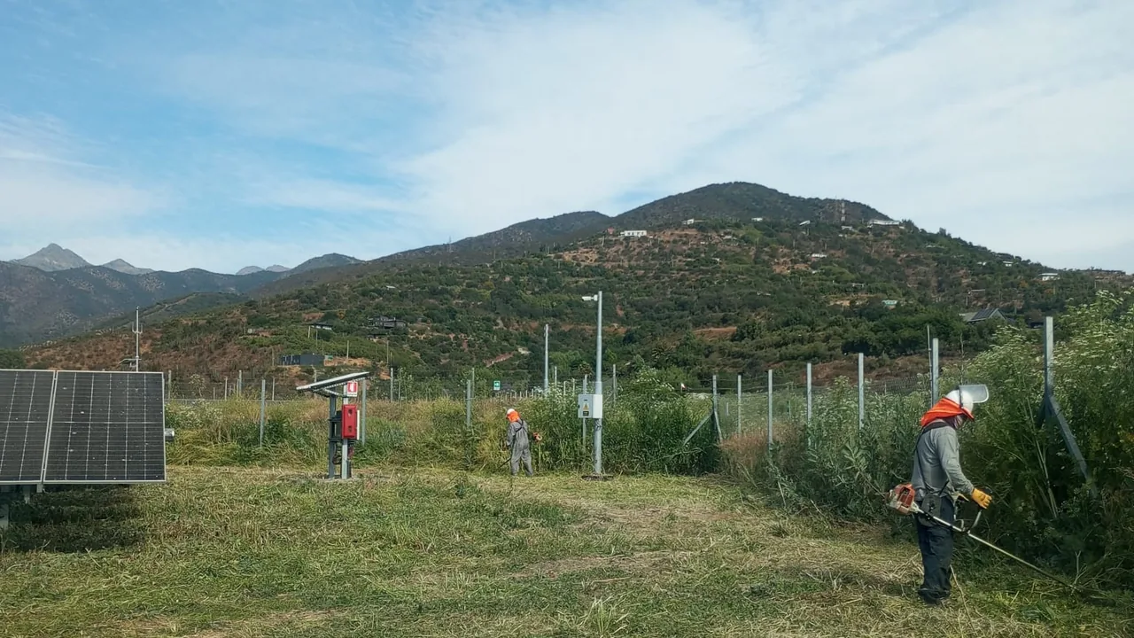Trabajador con orilladora despejando vegetación en una planta fotovoltaica.